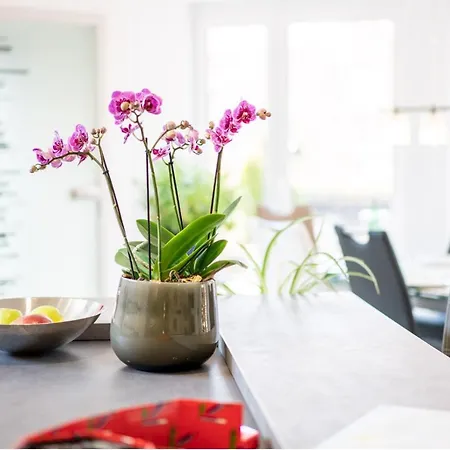 Ferienwohnung Birkenried Reisensburg Zewnętrze zdjęcie